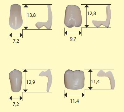 g4-2